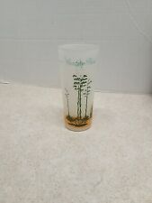 Vintage Blakely Oil & Gas Arizona Century Plant Cactus Tall Frosted Glass picture
