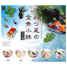 Four-tailed goldfish small bowl Mascot Capsule Toy 5 Types Full Comp Set Gacha picture