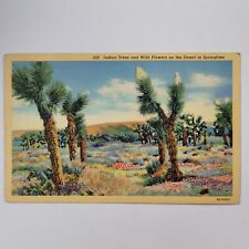 Joshua Trees And Wild Flowers On The Desert In Springtime Vintage Linen Postcard picture