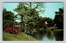 Leland MS-Mississippi, Scenic Views Deer Creek, Antique Vintage Postcard picture