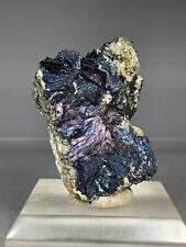 SS Rocks - Covellite with Pyrite (Leonard Mine, Butte Montana) 92g picture
