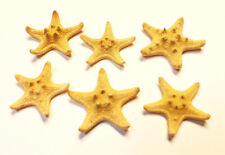 6 X-Small Knobby Tan / Brown Starfish 1-2