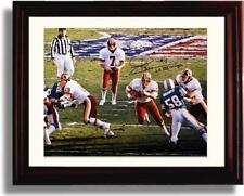 16x20 Framed Joe Theisman - Washington Football Club Autograph Promo Print picture