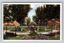 Cheyenne WY-Wyoming, City Park, Antique, Vintage Souvenir Postcard picture