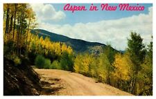postcard Aspen Trees in New Mexico 7854 picture