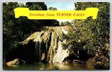 Banner Greeting~Davis Oklahoma~Turner Falls In Arbuckle Mountains~Vintage Postca picture