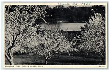 1935 View Of Blossom Time South Haven Michigan MI Posted Vintage Postcard picture