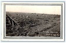 Pine Bluff Wyoming WY Postcard RPPC Photo Potato Harvest Farming 1937 Vintage picture
