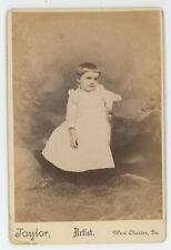 Antique c1880s Cabinet Card Adorable Child in Dress Taylor Wests Chester, PA picture