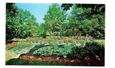 Hickory NC Postcard Floral Display in City Park picture