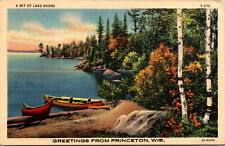 Vtg 1930s A Bit of Lake Shore Greetings from Princeton Wisconsin WI Postcard picture