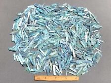300pcs+ Blue Kyanite Collection 1/2 LB Raw Points EXTRA Tiny Small Crystal picture