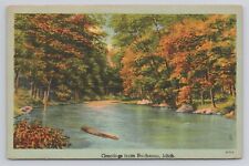 Greetings from Buchanan Michigan Linen Postcard No 4041 picture
