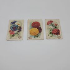 Lot of 3 Arm & Hammer Beautiful Flowers Trade Cards Church & Co picture