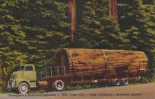 Vintage Linen Postcard - Straughan's Redwood Loghouse 1900 Years Old Redwood picture