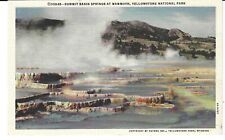 POSTCARD YELLOWSTONE NATIONAL PARK - SUMMIT BASIN SPRINGS AT MAMMOTH picture