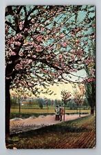 Landscape, Couple Walking Down Road, Spring Blossoms c1907 Vintage Postcard picture