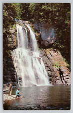 Bushkill Falls The Niagara Of Pennsylvania Postcard 2089 picture