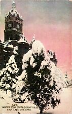 Winter Scene of City & County Building Salt Lake City UT Divided Postcard c1912 picture
