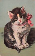Artist card Black & White Tuxedo Kitten Sitting Vintage Postcard c1907-17 picture