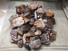 22 Lbs. of Petrified Wood Pieces With Great Color And Patterns From S. Utah #PW9 picture