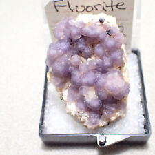 Fluorite, Fremont County, Colorado ex. Martin Lewadny picture