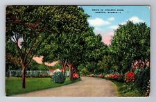 Newton KS-Kansas, Drive In Athletic Park, Antique, Vintage Souvenir Postcard picture