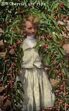Cherries are Ripe ~ young girl sexual innuendo ~ Edward Mitchell Publ ~ c1910 picture