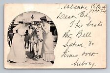 Two Ladies Talking to Mule, Humorous General Greeting, c1904 Vintage Postcard picture