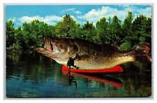 Greetings from Erie PA Pennsylvania Humor The Big One Got Away Fishing Postcard picture