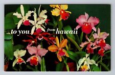 HI-Hawaii, General Greetings, Orchids, Flower, Antique Vintage Souvenir Postcard picture