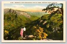 Postcard NC Wiseman's View Overlooking Linville Gorge picture