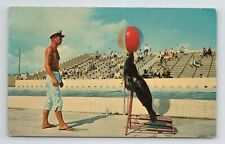 Seal Beach Ball on Nose Marine Life Beach Gulfport Mississippi VTG MS Postcard picture