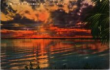 Colorful Sunset in Florida Postcard Posted St. Petersburg, FL picture