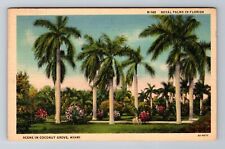 Miami FL-Florida, Royal Palms, Coconut Grove, Antique, Vintage c1938 Postcard picture