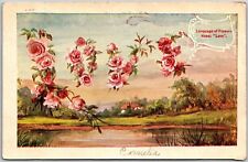1909 Language of Flower Rose (Love) Landscapes Posted Postcard picture