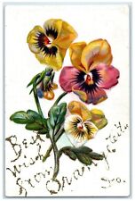 c1910's Best Wishes Orange City Iowa IA, Flowers Glitter Embossed Postcard picture