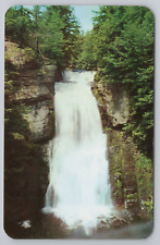 Vintage Postcard Bushkill Falls The Niagara of Pennsylvania Poconos Scenic View picture