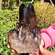2.81LB Natural smoky black Citrine cluster specimen quartz crystal healing picture