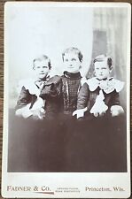 Antique Cabinet Card Family Portrait Princeton Wisconsin Mourning Attire picture