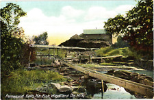 Pemaquid Falls Maine Fish Ways and Old Mill Divided Postcard 1907-09 picture