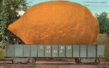 Vintage Postcard 1910s I'm Sending You Big Lemon by Edward Mitchell CA Art picture