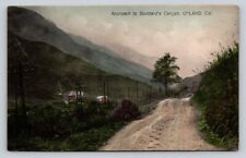 c1910 Approach To Stoddards Canyon Upland California P87A picture