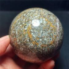 Rare 482G Natural Polished Ocean Jasper Ecology Ball Healing Stone R721 picture