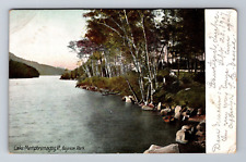 Lake Memphremagog VT-Vermont, Scenic Bayview Park, Vintage c1907 Postcard picture