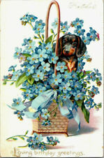 Antique Rafael Tuck Dachshund Puppy in Basket Postcard, Birthday, Embossed picture