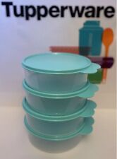 4 Tupperware Big Wonders Bowls Aqua 3C Food Crafts Makeup Jewelry iPhone NEW picture