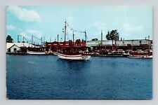 Postcard Sponge Fleet Docks Tarpon Springs Florida FL, Vintage Chrome F18 picture