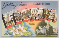 Lake Como Florida, Large Letter Greetings RARE, Vintage Postcard picture