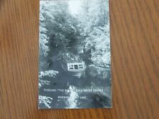 Cold Water Canyon Wisconsin WI RPPC Real Photo Riverview Boat Line picture